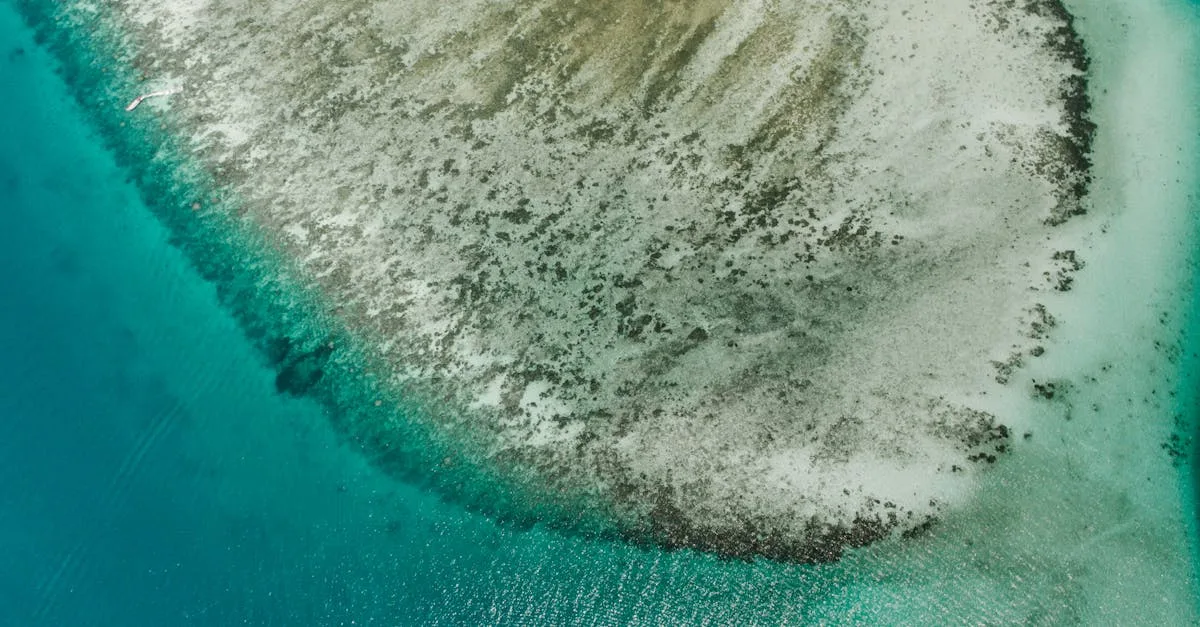découvrez tout ce qu'il faut savoir sur les longueurs d'onde : définition, applications en science et en technologie, et leur impact dans la vie quotidienne.