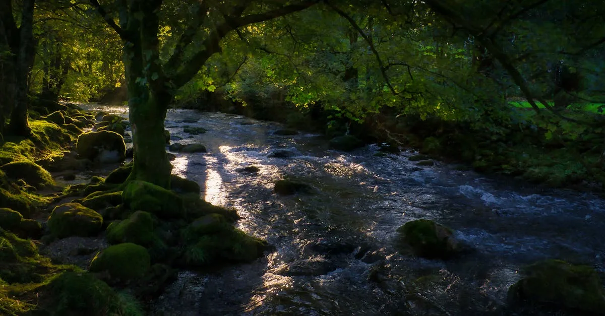 babble : une plateforme interactive pour apprendre et pratiquer des langues de manière ludique et efficace.