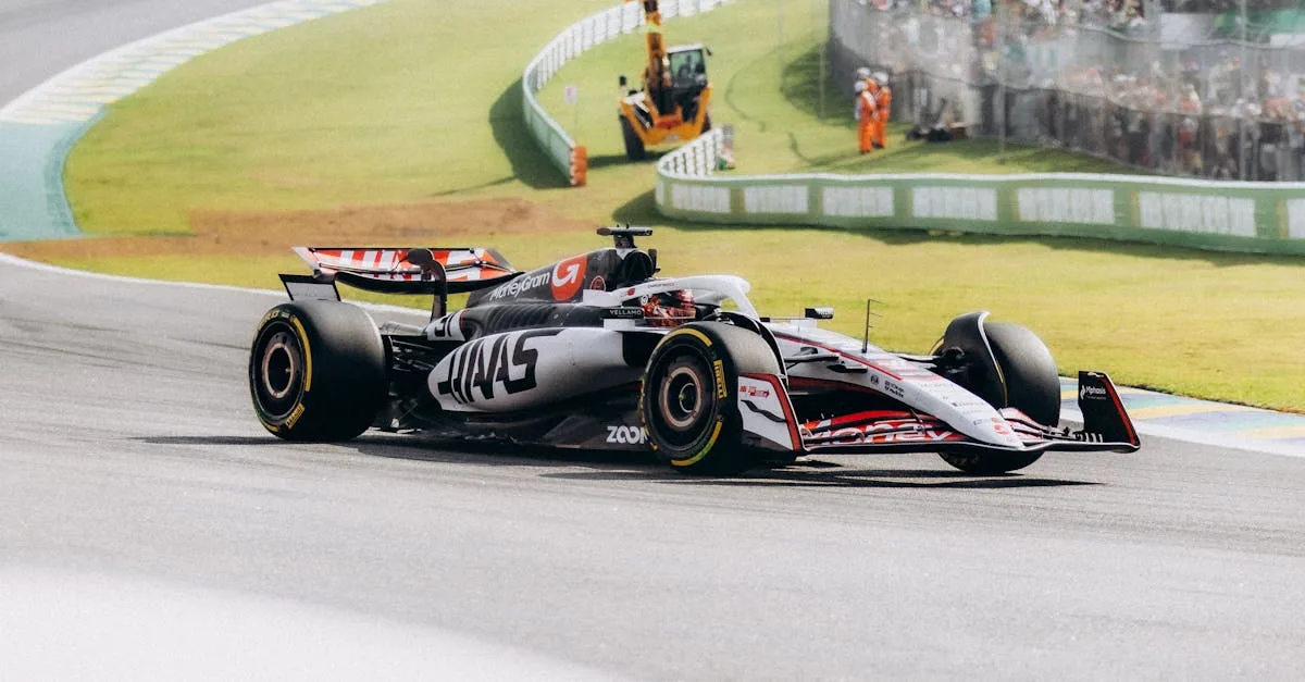 participez à la compétition jungle speed et testez votre rapidité et réflexes dans une ambiance fun et intense. qui sera le plus rapide à attraper le totem ?