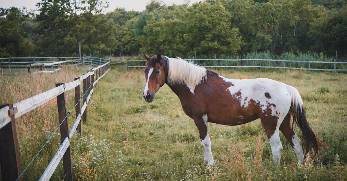 découvrez chroma catalyst, la solution innovante pour la gestion des couleurs et l'optimisation des flux de production graphique.