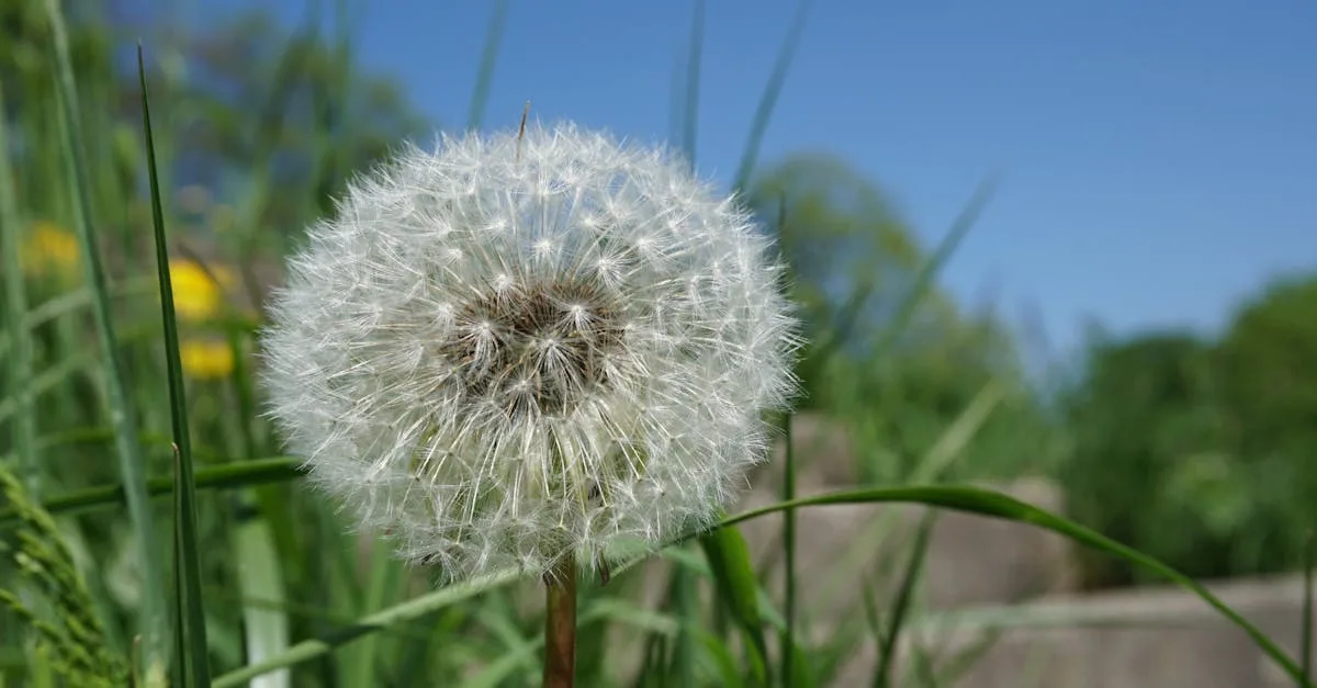 découvrez les meilleurs coloristes capillaires à grenoble pour sublimer votre coiffure avec des couleurs tendances et personnalisées.