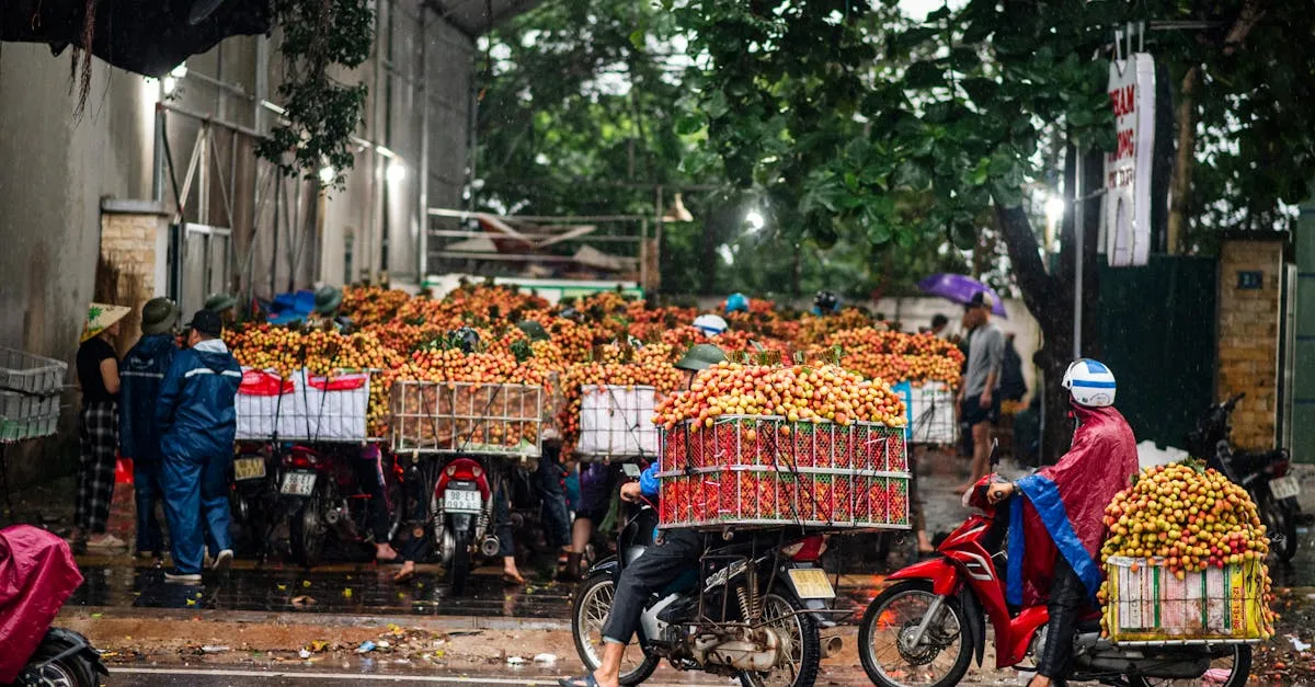 préparez votre bac rapidement et efficacement avec speed bac, la méthode idéale pour réussir vos examens en un temps record.
