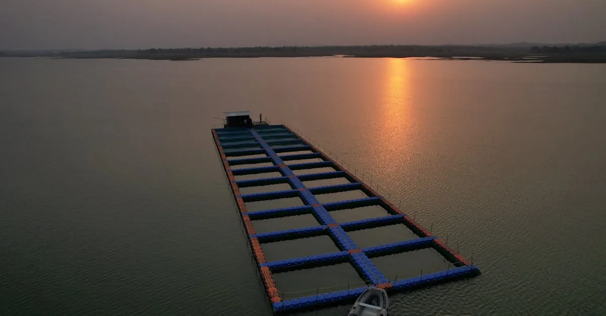 découvrez l'aquaculture intégrée, une méthode durable combinant élevage de poissons, culture de plantes et gestion écologique pour optimiser la production et préserver l'environnement.